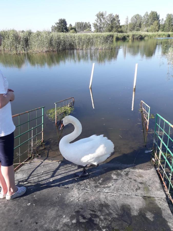 U Wikinga Hotel Zastan Kültér fotó